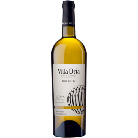 Terre de feu Dom Villa Dria